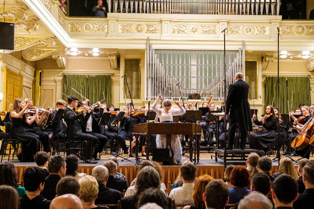 Cimbál - pohled na celý nástroj